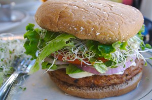 Hamburger végétarien bio